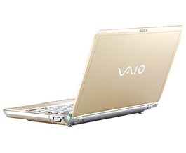 Sony VAIO VGN-TTV31MR/N 