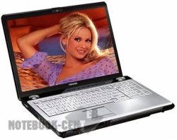 Toshiba Satellite P200-10C